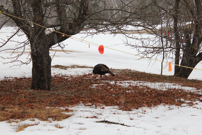 Feb 2012 064.JPG